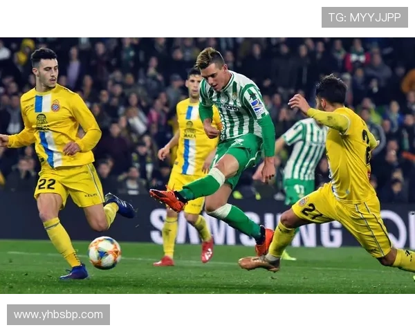 球队公布最新阵容名单，主力框架保持稳定