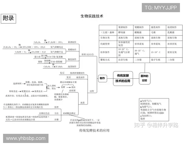 奥德加德技术能力总结 奥德加德技术能力总结